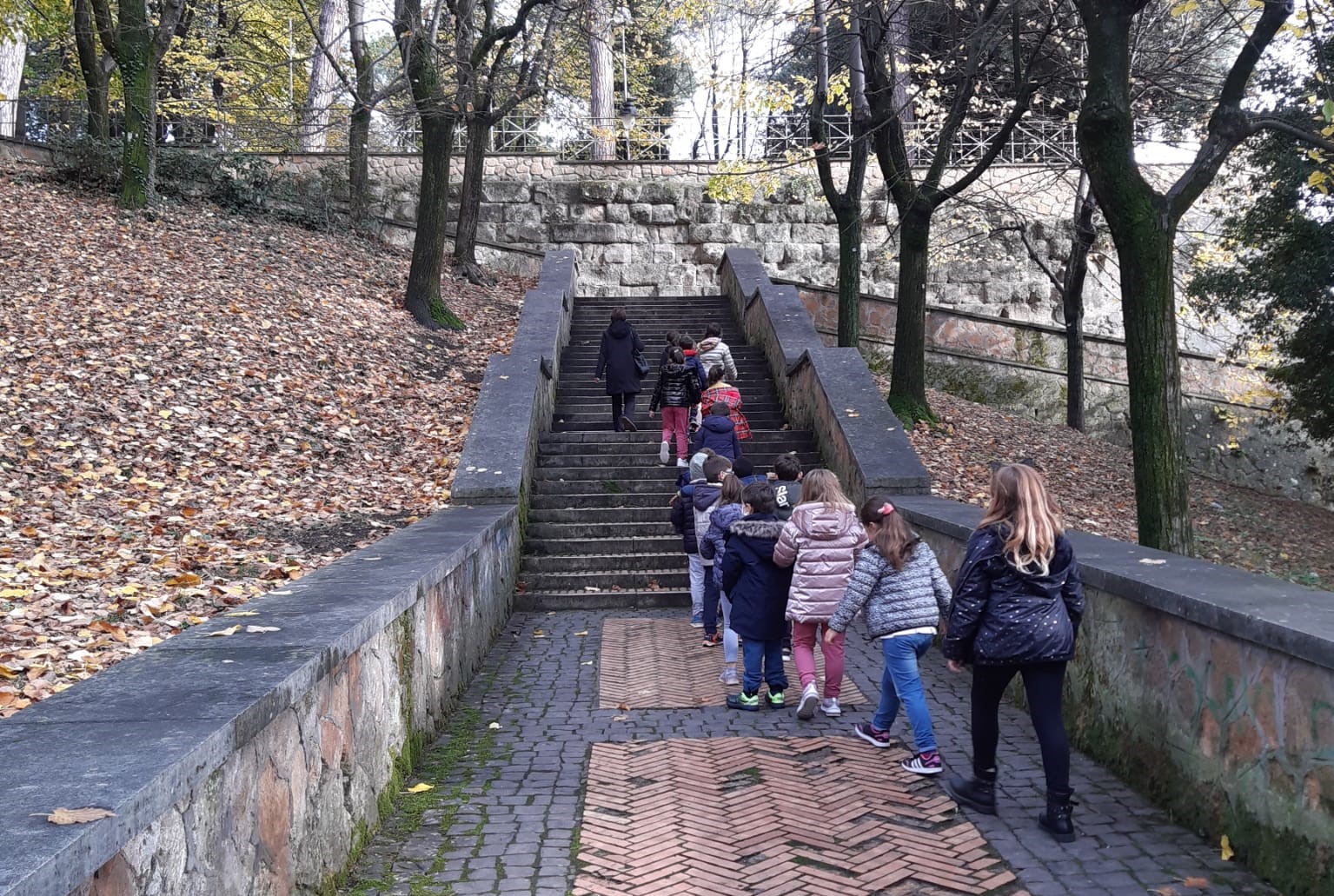 muovinsieme palestrina